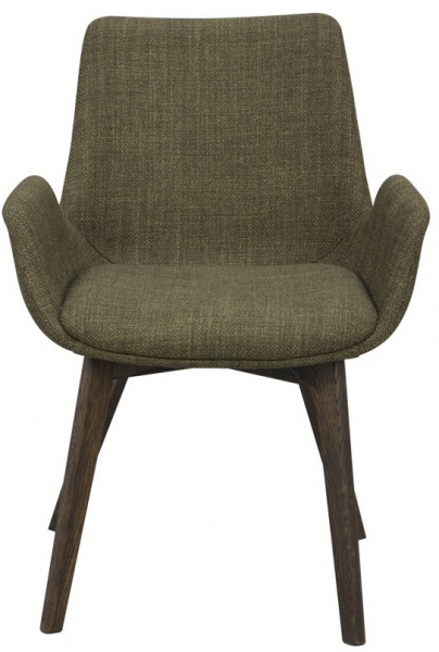 Fauteuil 'Drimsdale' - Vert/Brun