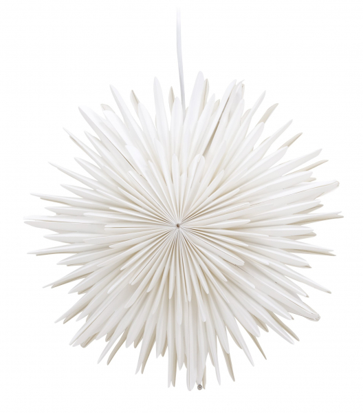 Étoile de Noël 'Grent' - Blanc