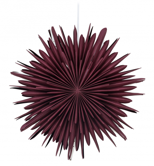 Étoile de Noël 'Ture' - Rouge foncé