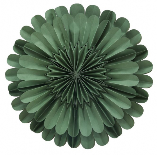 Étoile de l'Avent 'Mora' - Vert