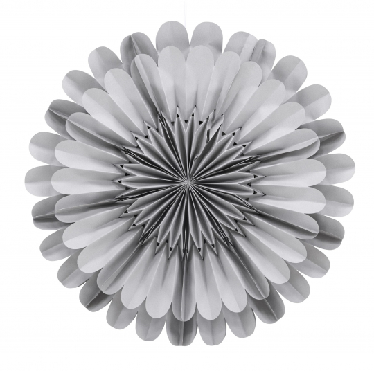 Étoile de Noël 'Glänt' - Gris