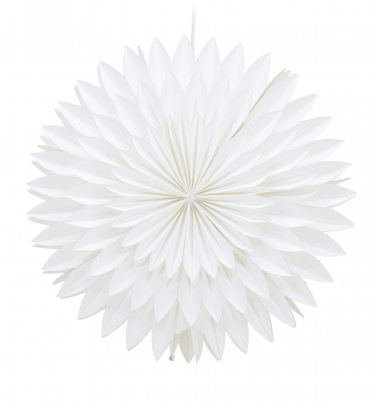 Étoile de Noël 'Örnsköldsvik' - Blanc