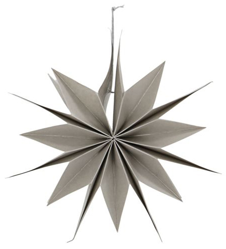 Étoile de Noël 'Capella' - Perle S