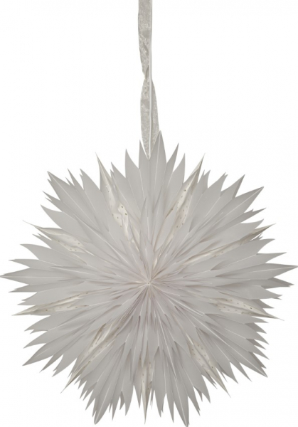 Étoile de Noël 'Dis' - Blanc