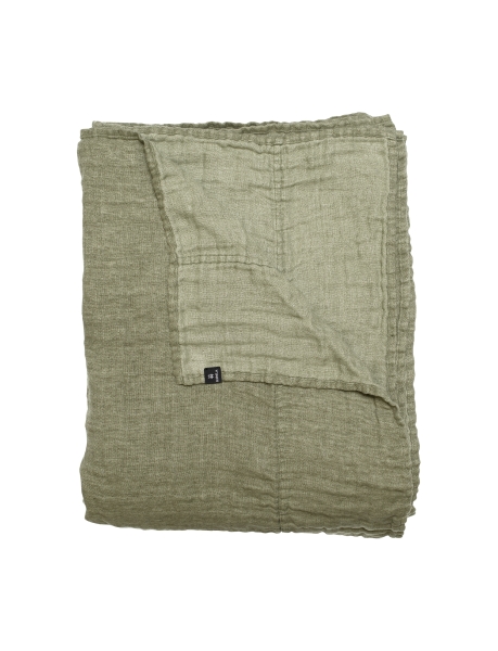 Couverture 'Hannelin' 260x260 - Vert