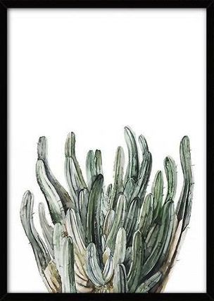 Affiche Canvas L - Plante tropicale 9