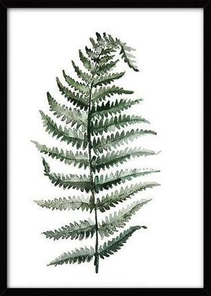 Affiche Canvas L - Plante tropicale 10