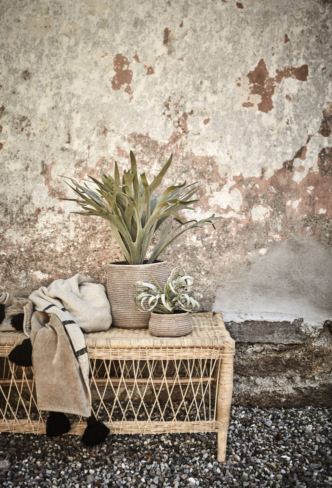 Table basse 'Tribe' - Nature