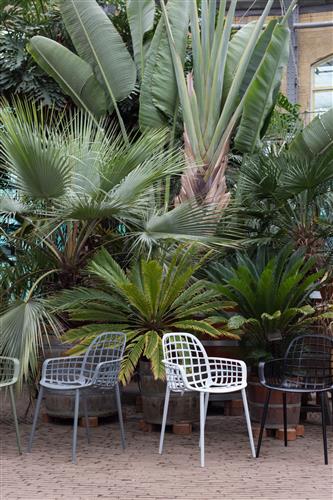 Chaise 'Albert' - Blanc