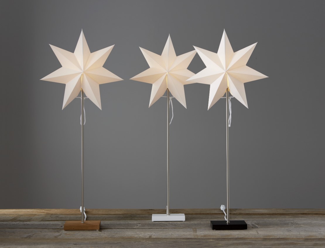 Étoile de Noël 'Totto' - Debout