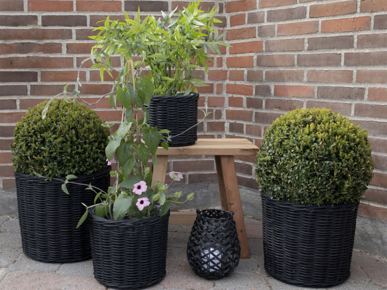 Panier 'Bogor Black' 4-pack - Noir