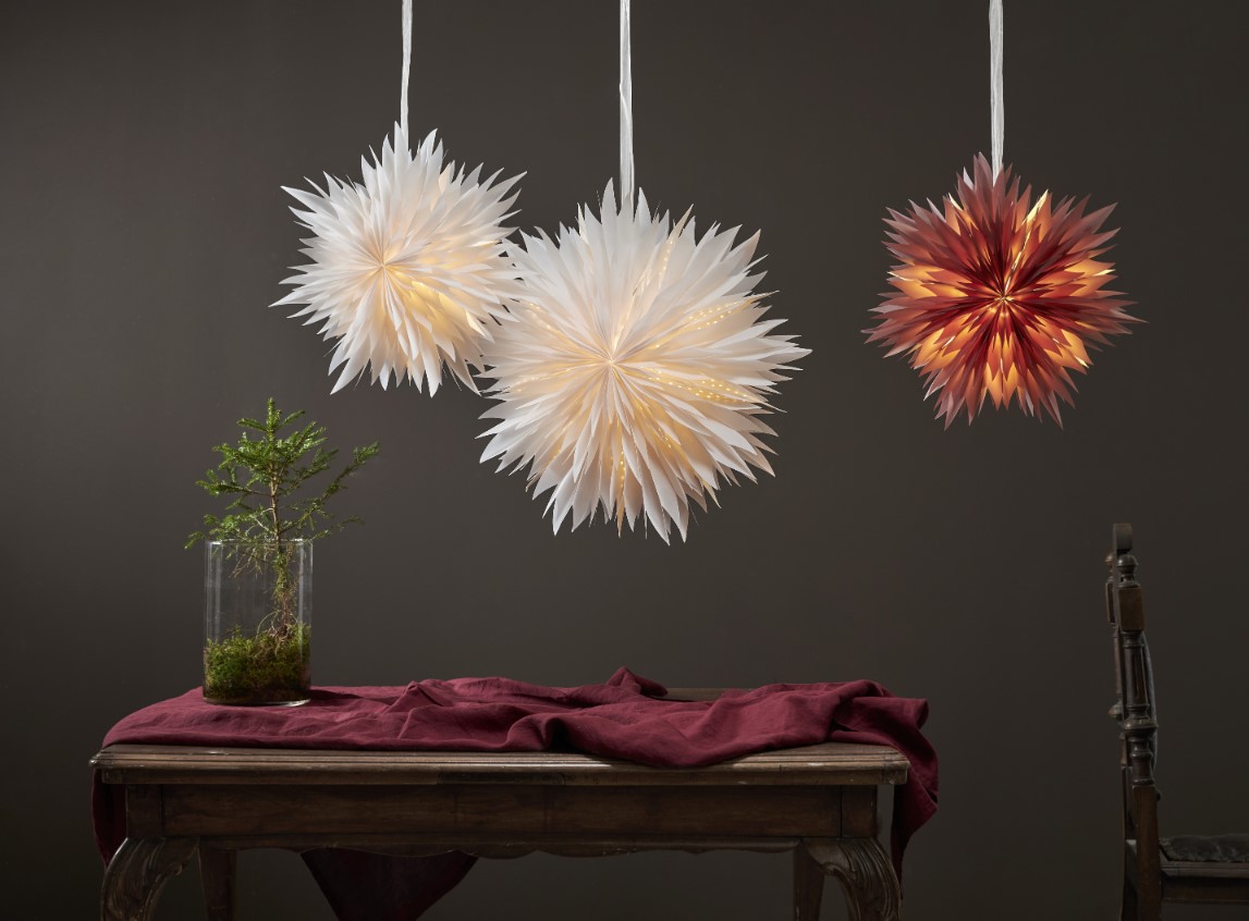 Étoile de Noël 'Dis' - Blanc