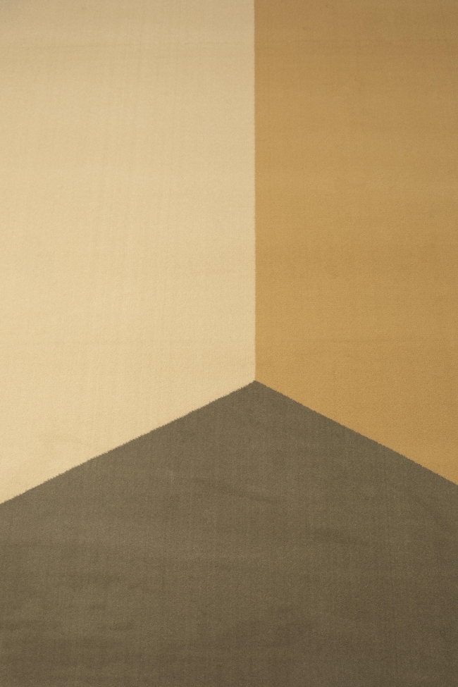 Tapis 'Harmony' 160x230cm - Marron