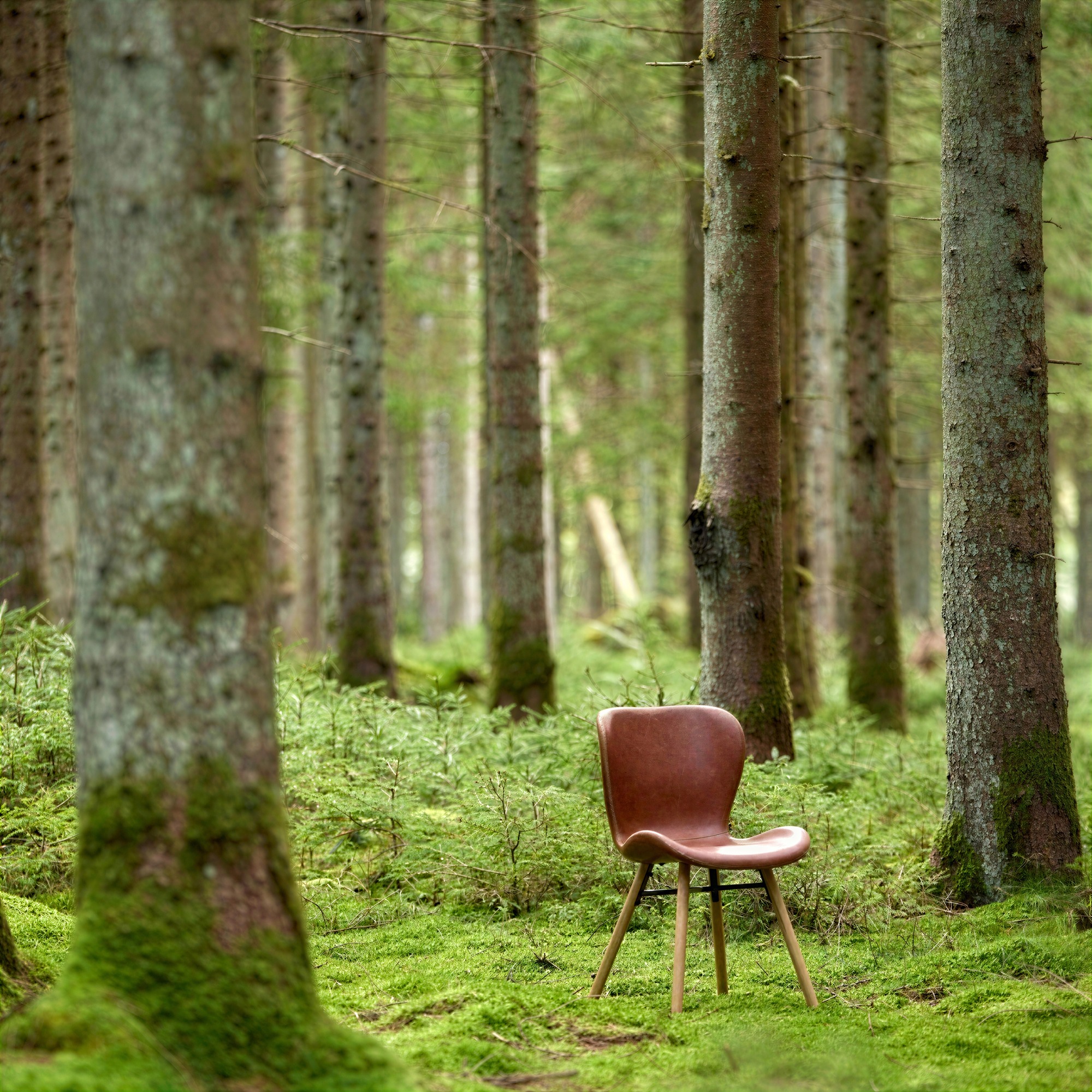 Chaise 'B&ouml;da' - Nature/Marron