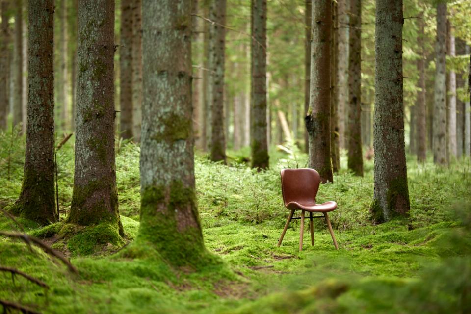 Chaise 'Böda' - Nature/Marron