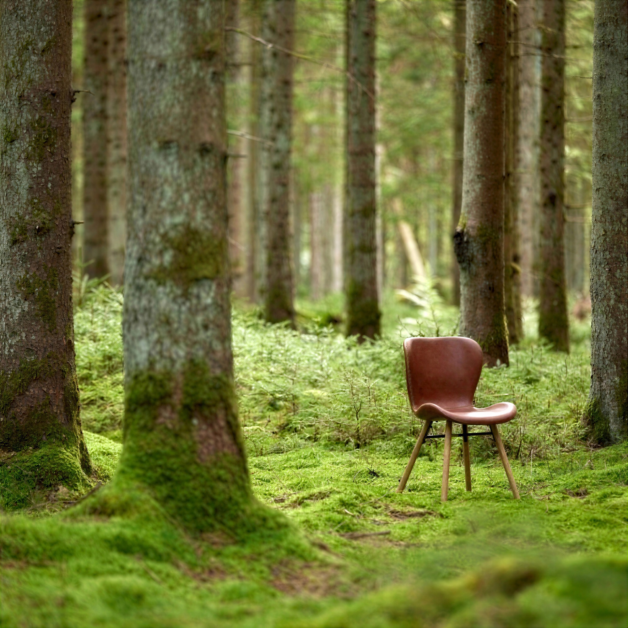 Chaise 'B&ouml;da' - Nature/Marron