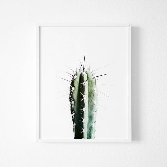 Affiche - 'Cactus'