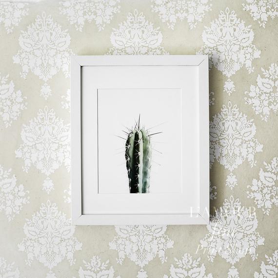 Affiche - 'Cactus'