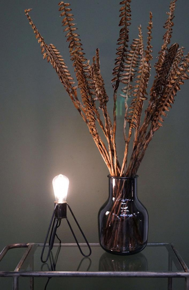 Lampe LED 'Ignis' Dimmable