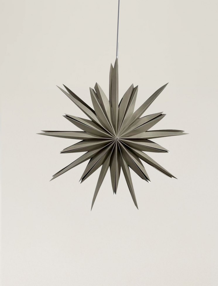 Étoile de l'Avent 'Fiona' 65 - Gris