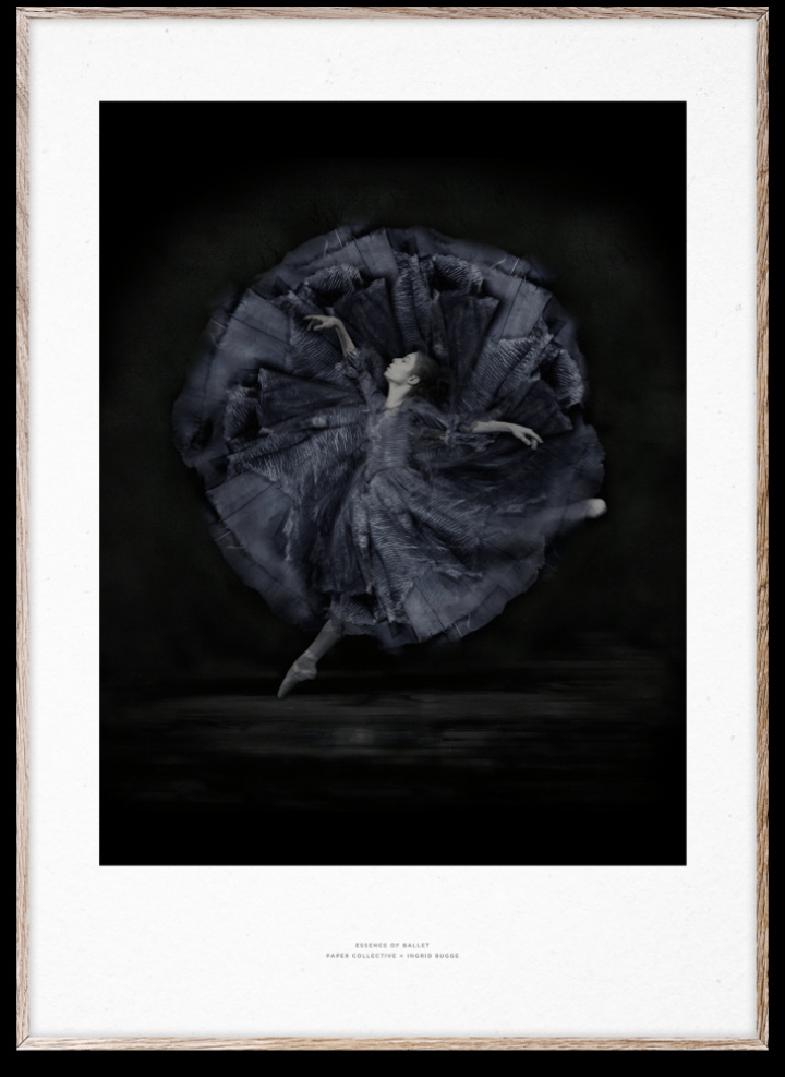 Affiche \'Essence of Ballet 06\' 50x70 - Noir/Blanc dans le groupe Décoration / Décoration / Tableaux & affiches chez Reforma (10119)