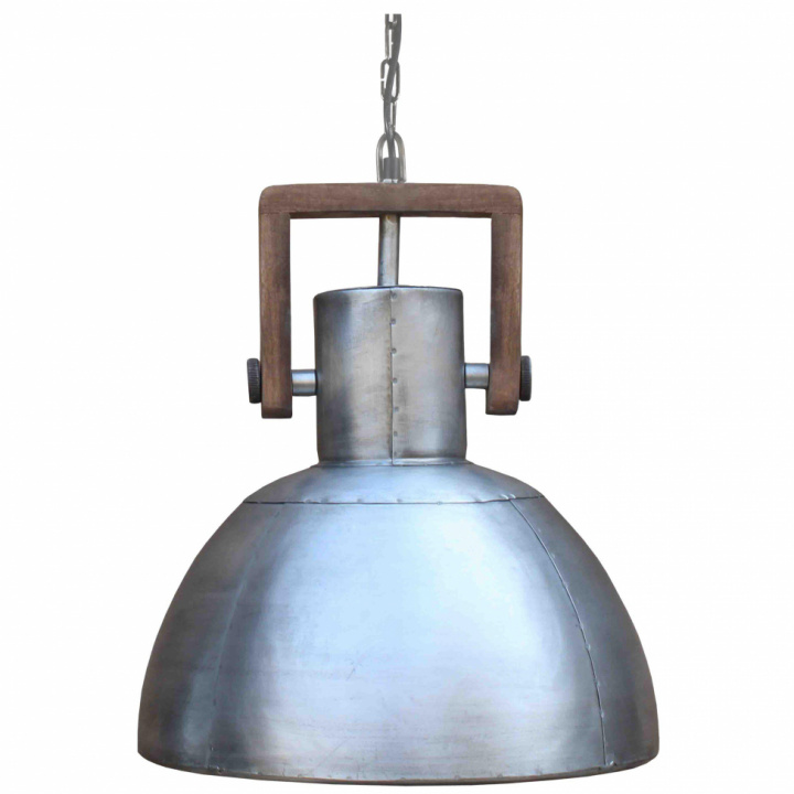 Plafonnier \'Ashby Single\' - Argent dans le groupe Éclairage / Lampes / Lampes de plafond chez Reforma (1373901)