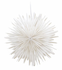Étoile de Noël \'Grent\' - Blanc