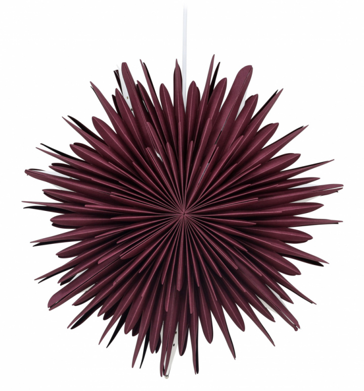 Étoile de Noël \'Ture\' - Rouge foncé dans le groupe Éclairage / Lampes / Éclairage de Noël chez Reforma (20031-112)