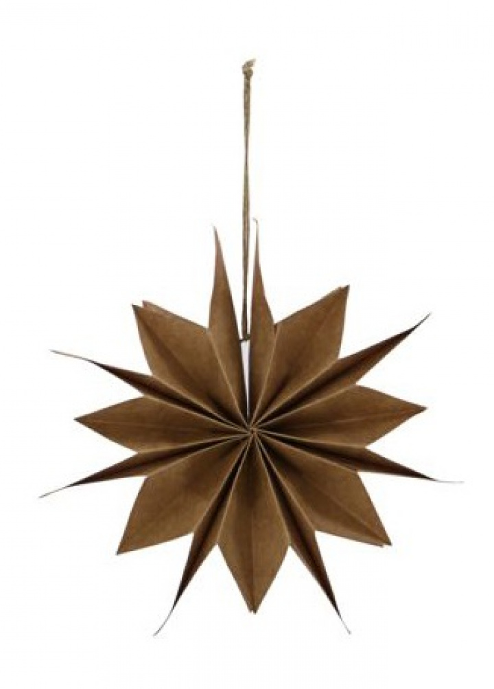 Étoile de Noël \'Capella\' S - Nature dans le groupe Décoration / Décoration / Décorations de Noël chez Reforma (206120802)