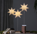 Étoile de Noël \'Totto\' - Debout