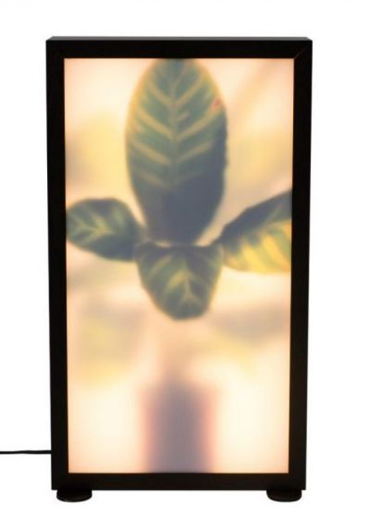 Lampe sur pied \'Grow\' M dans le groupe Éclairage / Lampes / Lampes de sol chez Reforma (5100090)