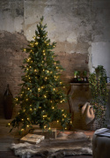 Sapin de Noël \'Larvik Belysning\' - Vert