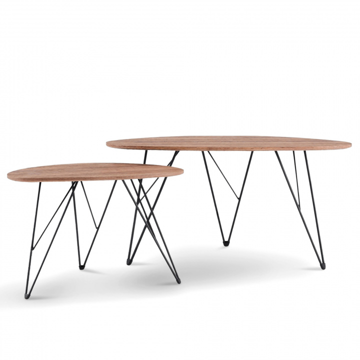 Table basse \'Twin\' 2 pièces - Naturel dans le groupe Meubles / Tables / Table basse chez Reforma (CT-912)