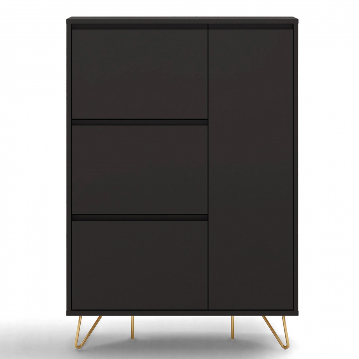 Meuble &agrave; chaussures \'Elle\' - Noir/Laiton dans le groupe Meubles / Étagères & rangement / Armoires et buffets chez Reforma (ELLESC01-black)