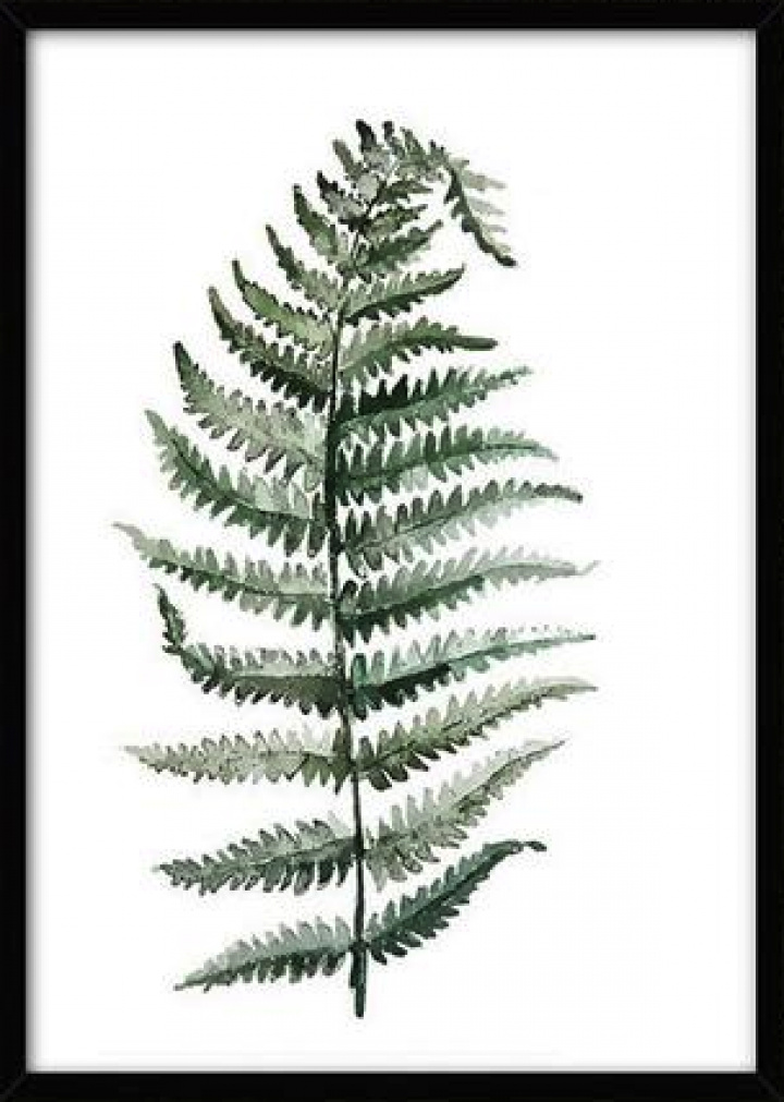 Affiche Canvas L - Plante tropicale 10 dans le groupe Décoration / Décoration / Tableaux & affiches chez Reforma (LS71237-10-K-5070)