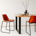 Fauteuil Vintage - Cuir/Fer