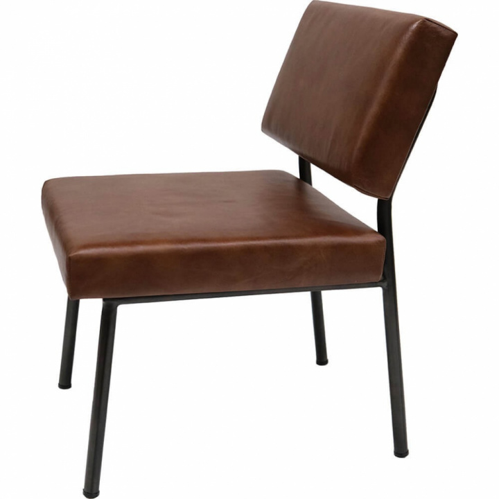 Fauteuil \'Craig\' - Brun dans le groupe Meubles / Meubles d\'assise / Fauteuils chez Reforma (MA0216)