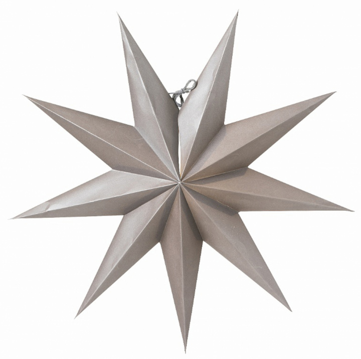 Étoile de l\'Avent \'Boris\' - Gris foncé dans le groupe Éclairage / Lampes / Éclairage de Noël chez Reforma (P0695093)