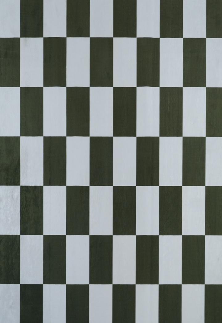 Tapis \'Carrano\' - Vert dans le groupe Décoration / Tapis chez Reforma (RG01-71)