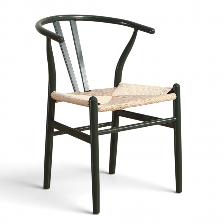 Chaise \'Alta\' - Vert dans le groupe Meubles / Meubles d\'assise / Chaises chez Reforma (WS-8651A-Green-NEW)